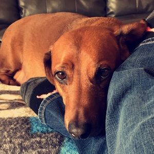 Meet your Posher, Kirstin